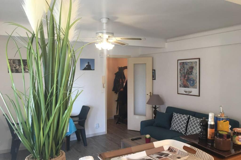 Charmant Appartement Bord De Mer, Plage カーニュ・シュル・メール エクステリア 写真