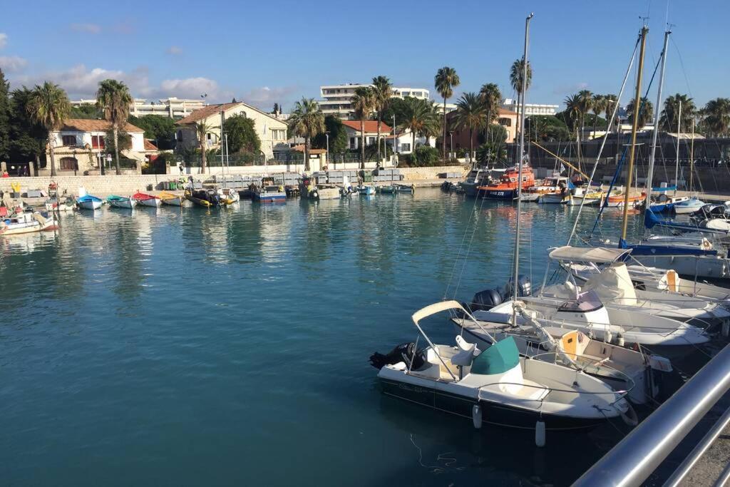 Charmant Appartement Bord De Mer, Plage カーニュ・シュル・メール エクステリア 写真